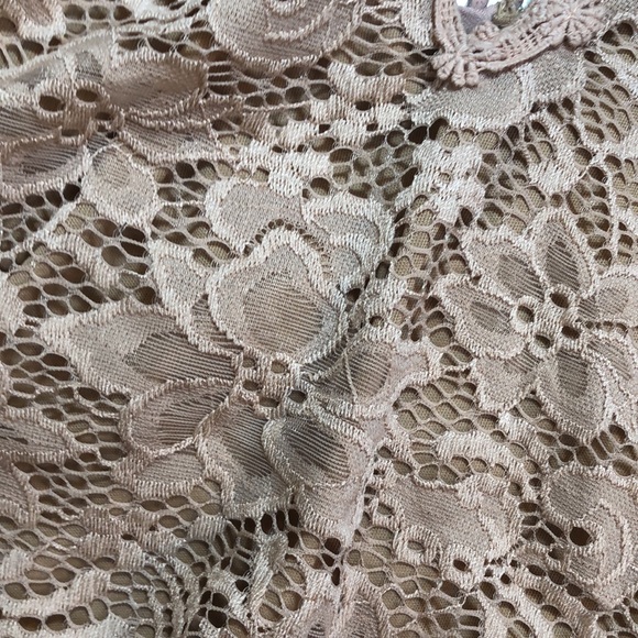 NWT Windsor ~ Lace Nude bodysuit - Picture 7 of 7